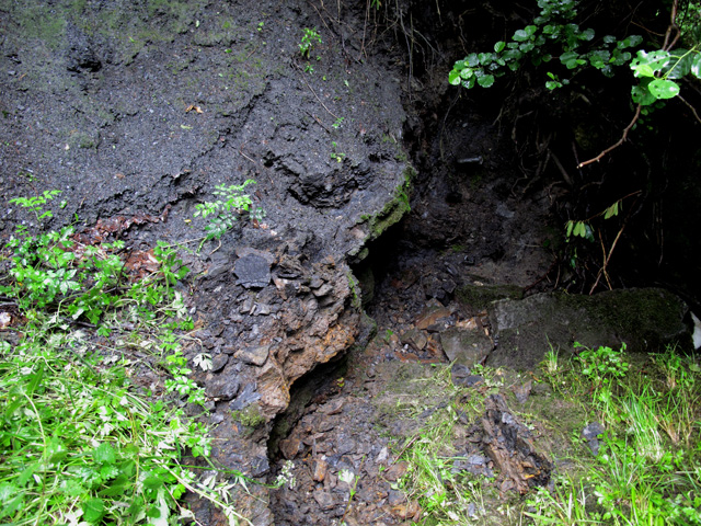 Namurian mudstone