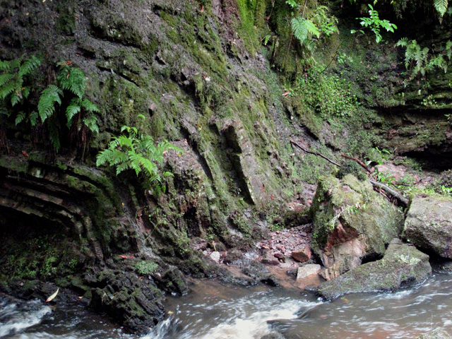 Folded Namurian